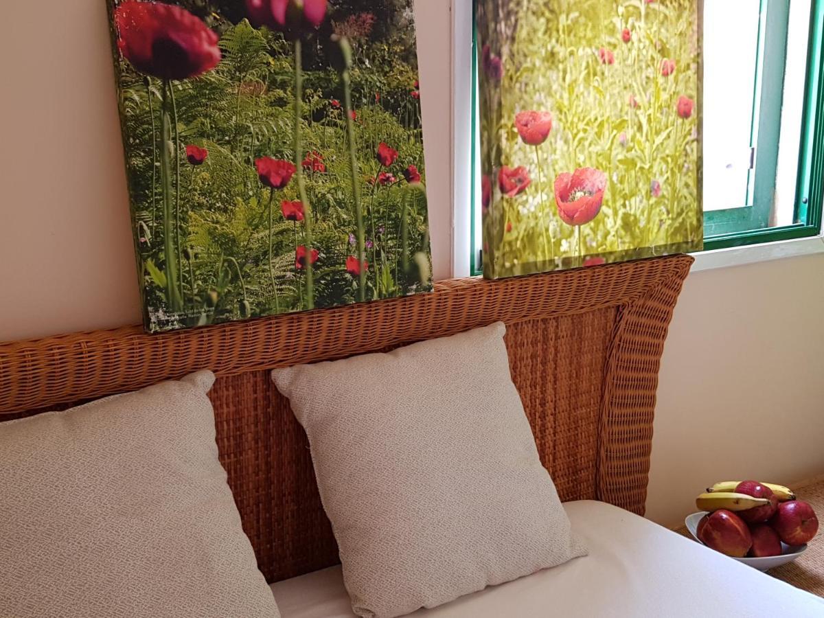 The Poppies Guest House - 100M Ocean - Private Spaces Candelaria Zewnętrze zdjęcie