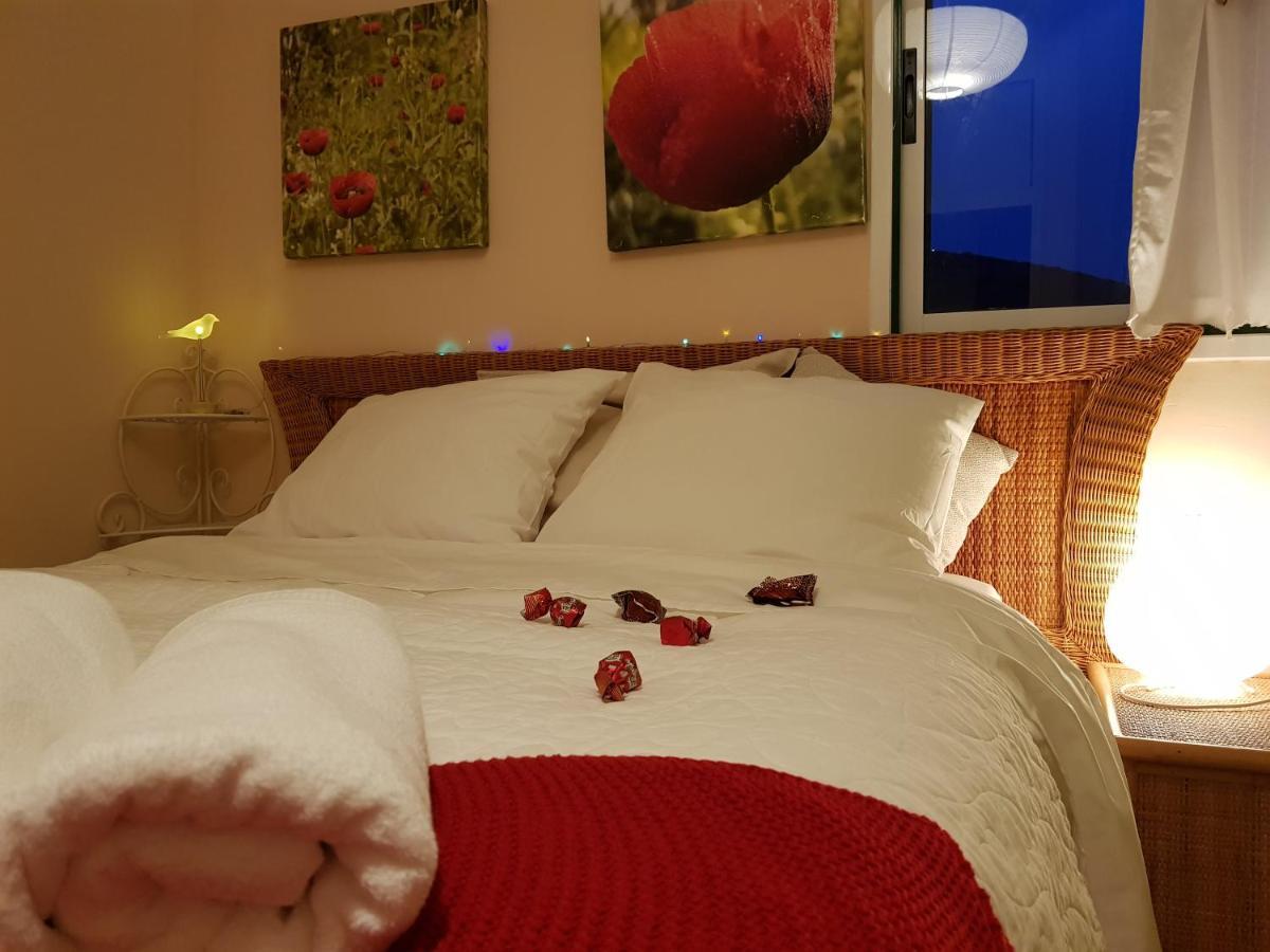 The Poppies Guest House - 100M Ocean - Private Spaces Candelaria Zewnętrze zdjęcie