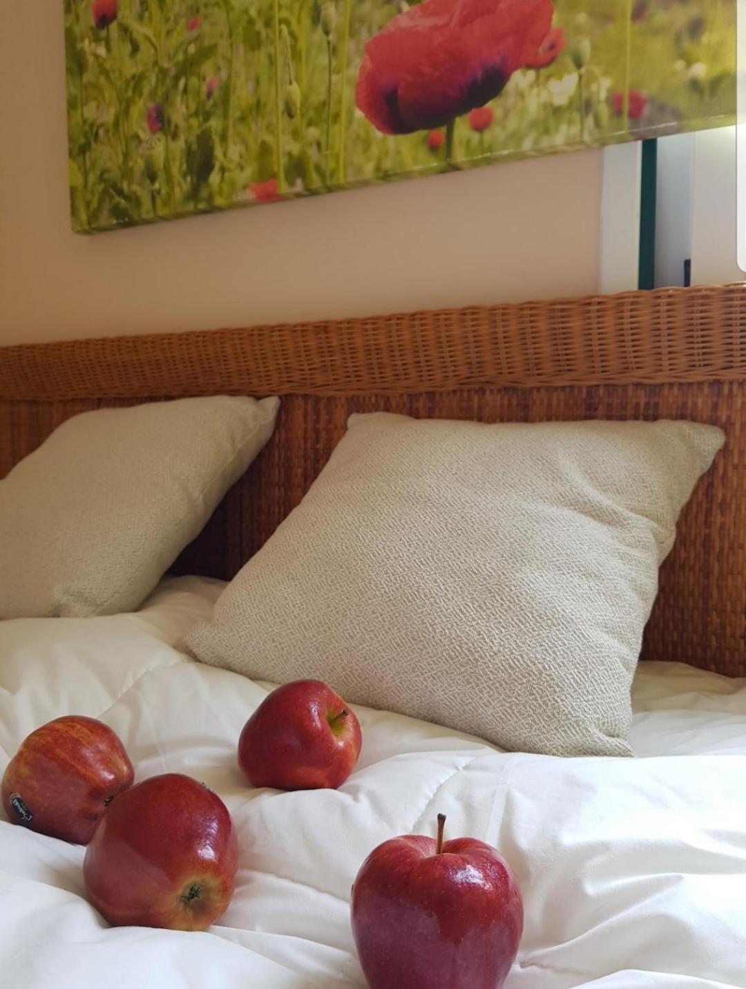 The Poppies Guest House - 100M Ocean - Private Spaces Candelaria Zewnętrze zdjęcie
